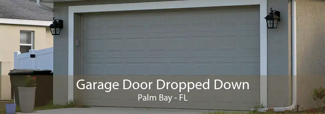 Garage Door Dropped Down Palm Bay - FL