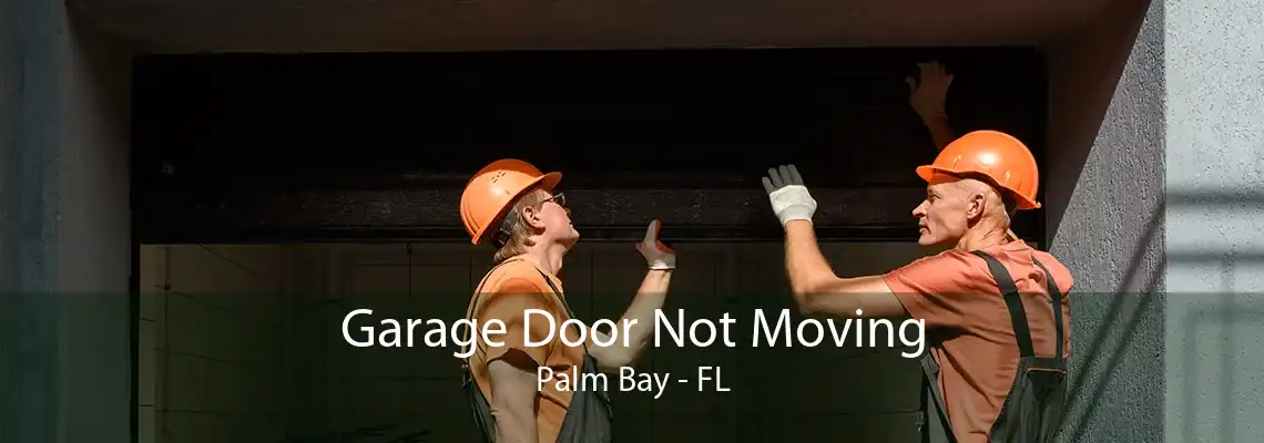Garage Door Not Moving Palm Bay - FL