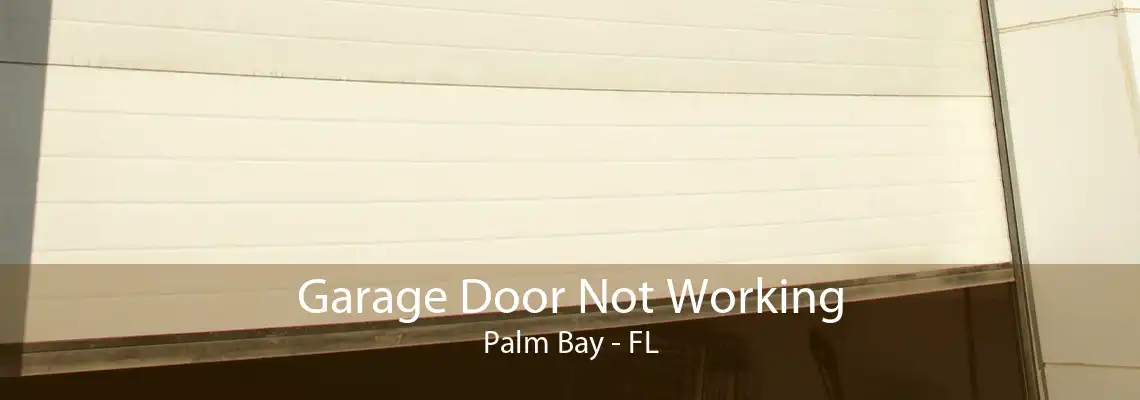 Garage Door Not Working Palm Bay - FL