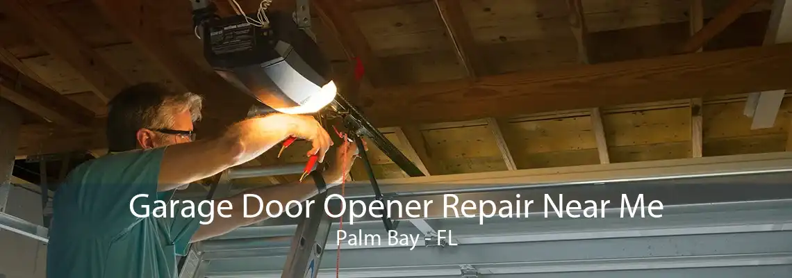 Garage Door Opener Repair Near Me Palm Bay - FL