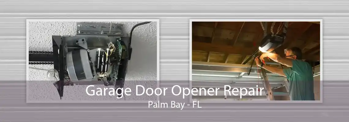 Garage Door Opener Repair Palm Bay - FL