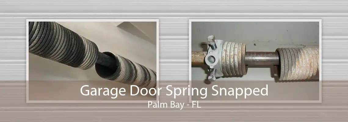 Garage Door Spring Snapped Palm Bay - FL