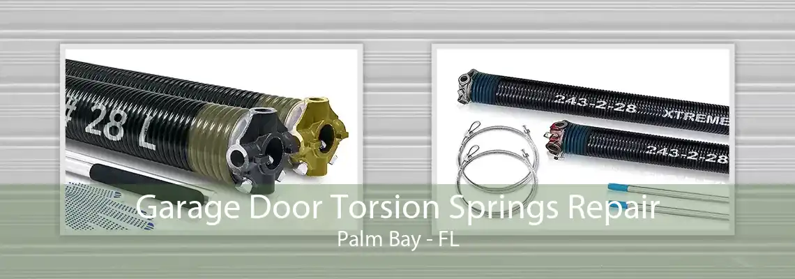 Garage Door Torsion Springs Repair Palm Bay - FL
